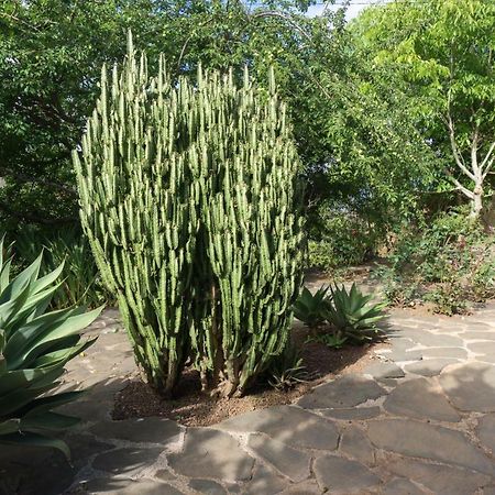 维加-德圣马特奥La Casa Del Campo别墅 外观 照片